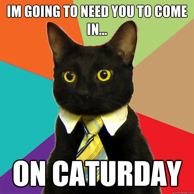 IM going to need you to come in... on caturday  Business Cat