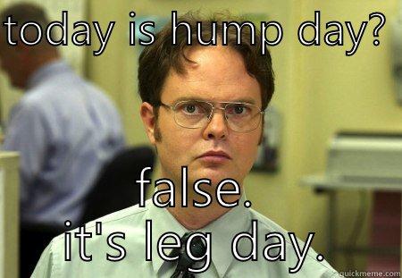 TODAY IS HUMP DAY?  FALSE. IT'S LEG DAY. Schrute