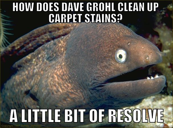 HOW DOES DAVE GROHL CLEAN UP CARPET STAINS?     A LITTLE BIT OF RESOLVE   Bad Joke Eel