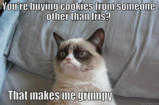 Girl Scout Cookie time! - YOU'RE BUYING COOKIES FROM SOMEONE OTHER THAN IRIS? THAT MAKES ME GRUMPY                    Grumpy Cat