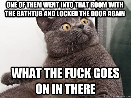 One of them went into that room with the bathtub and locked the door again what the fuck goes on in there  conspiracy cat