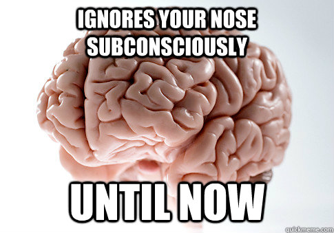 ignores your nose subconsciously Until now  Scumbag Brain