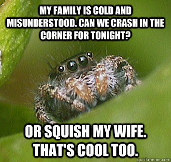 my family is cold and misunderstood. Can we crash in the corner for tonight? Or squish my wife. That's cool too.  Misunderstood Spider