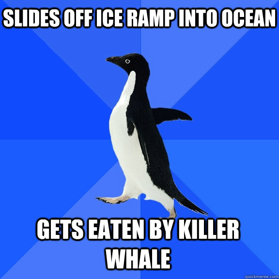 slides off ice ramp into ocean Gets eaten by killer whale   - slides off ice ramp into ocean Gets eaten by killer whale    Socially Awkward Penguin