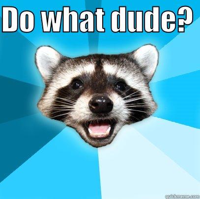 DO WHAT DUDE?   Lame Pun Coon
