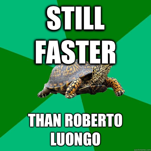 Still faster Than Roberto Luongo  Torrenting Turtle