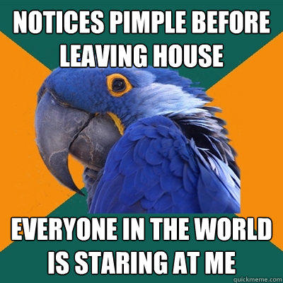 notices pimple before leaving house everyone in the world is staring at me - notices pimple before leaving house everyone in the world is staring at me  Paranoid Parrot