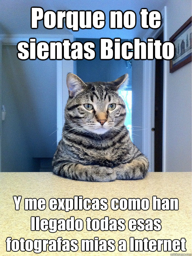 Porque no te sientas Bichito Y me explicas como han llegado todas esas fotografías mias a Internet  Chris Hansen Cat