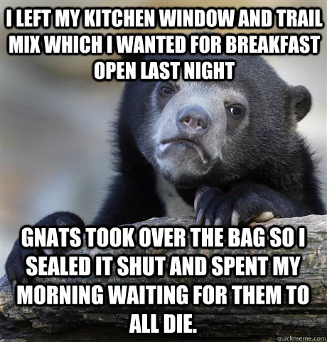 I left my kitchen window and trail mix which i wanted for breakfast open last night Gnats took over the bag so i sealed it shut and spent my morning waiting for them to all die.  Confession Bear