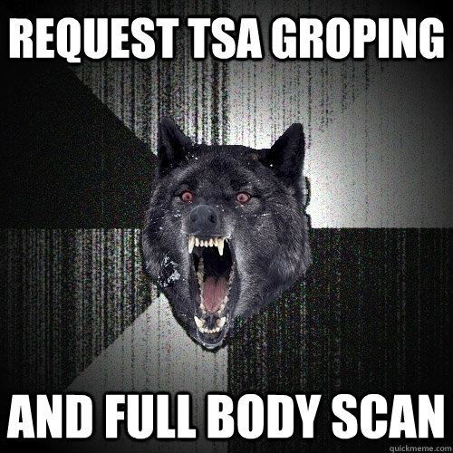 Request TSA Groping and full body scan  Insanity Wolf