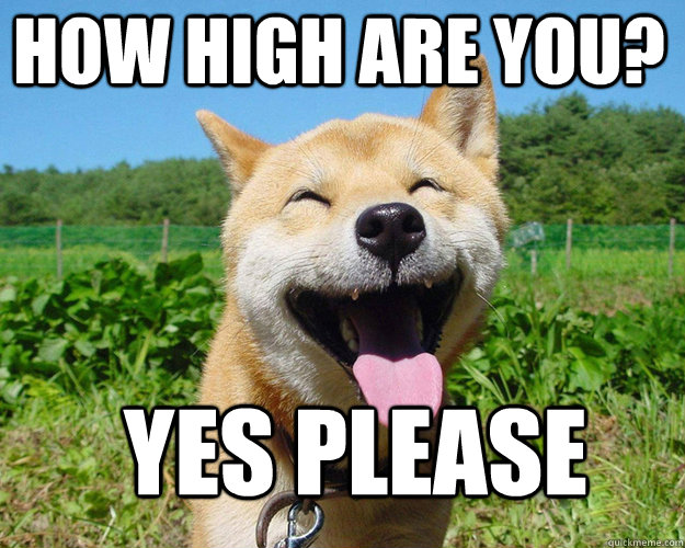 how high are you? yes please - how high are you? yes please  Misc