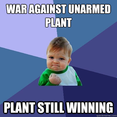 WAR AGAINST UNARMED PLANT PLANT STILL WINNING  Success Kid