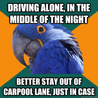 Driving alone, in the middle of the night Better stay out of carpool lane, just in case - Driving alone, in the middle of the night Better stay out of carpool lane, just in case  Paranoid Parrot