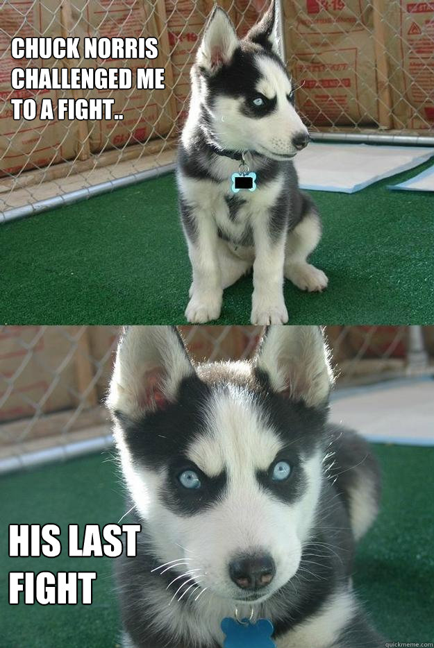 Chuck norris challenged me to a fight.. his last fight  Insanity puppy