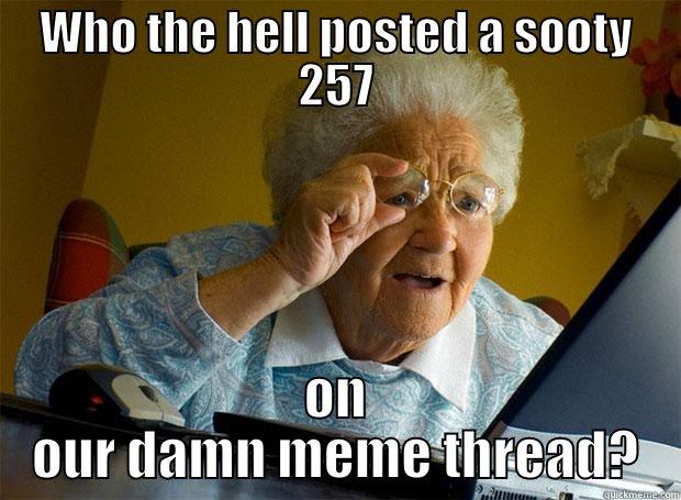 WHO THE HELL POSTED A SOOTY 257 ON OUR DAMN MEME THREAD? Grandma finds the Internet