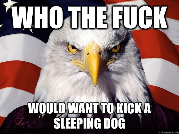 Who the fuck Would want to kick a sleeping dog  One-up America