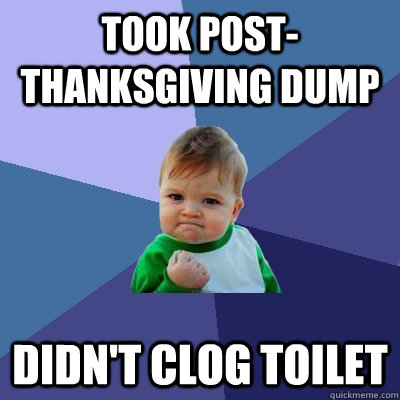 took post-thanksgiving dump didn't clog toilet  Success Kid