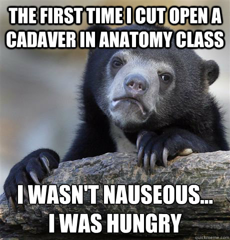 The first time I cut open a cadaver in anatomy class I wasn't nauseous... 
I was hungry - The first time I cut open a cadaver in anatomy class I wasn't nauseous... 
I was hungry  Confession Bear