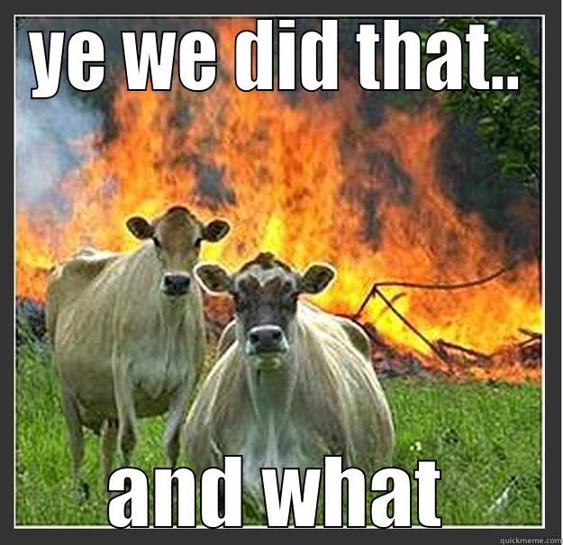 cow funny - YE WE DID THAT.. AND WHAT Evil cows