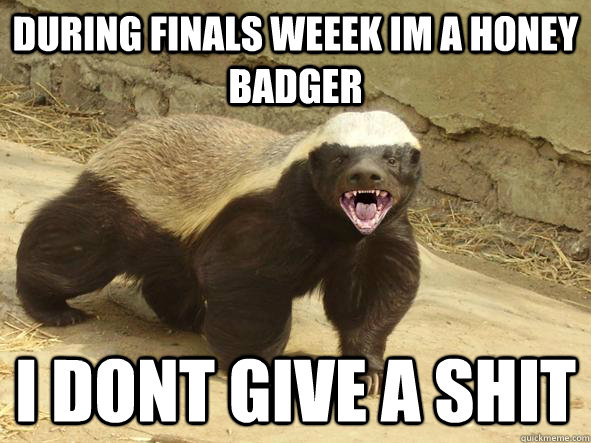 During Finals weeek im a honey badger i dont give a shit - During Finals weeek im a honey badger i dont give a shit  Indifferent Honey Badger