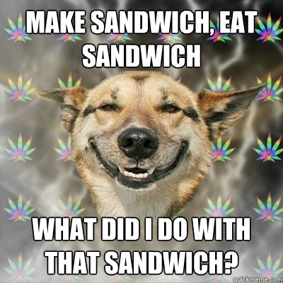 Make sandwich, eat sandwich what did i do with that sandwich?  Stoner Dog