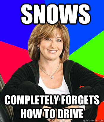 snows completely forgets how to drive  Sheltering Suburban Mom