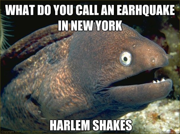 what do you call an earhquake
in new york 
harlem shakes - what do you call an earhquake
in new york 
harlem shakes  Bad Joke Eel