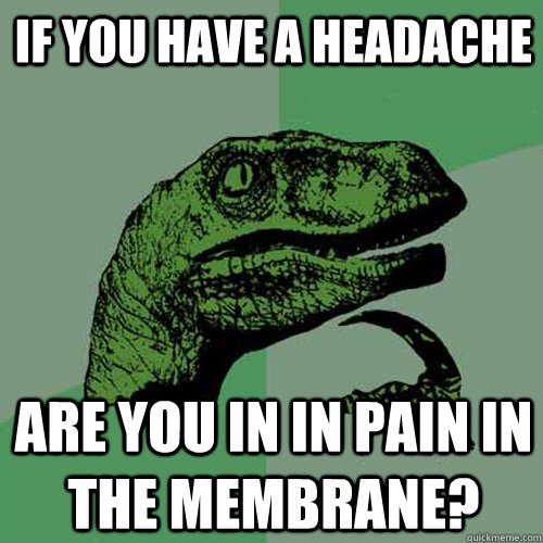 If you have a headache are you in in pain in the membrane?  Philosoraptor