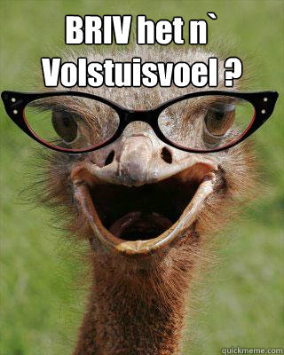 BRIV het n` Volstuisvoel ?   Judgmental Bookseller Ostrich