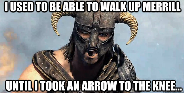 I used to be able to walk up merrill Until i took an arrow to the knee...  skyrim