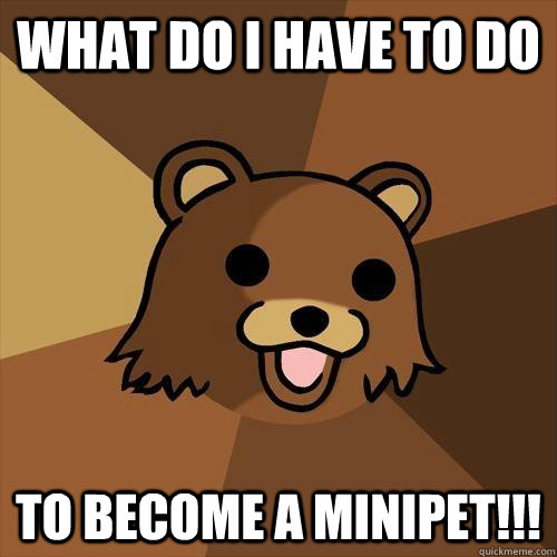 What do I have to do to become a minipet!!! - What do I have to do to become a minipet!!!  Pedobear