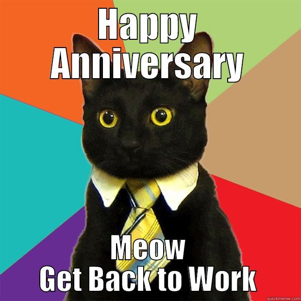 HAPPY ANNIVERSARY MEOW GET BACK TO WORK Business Cat