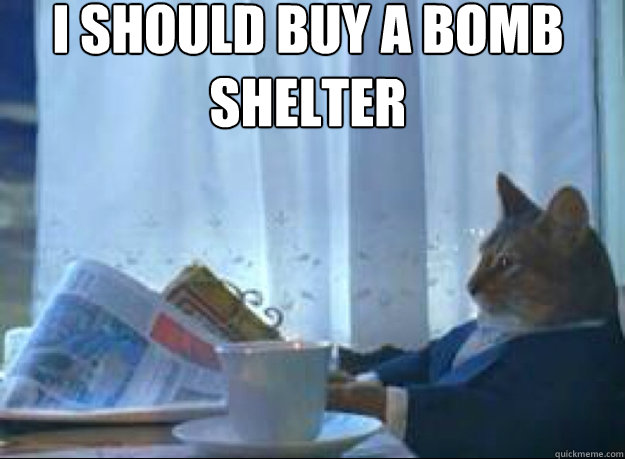 I Should buy a bomb shelter   I should buy a boat cat