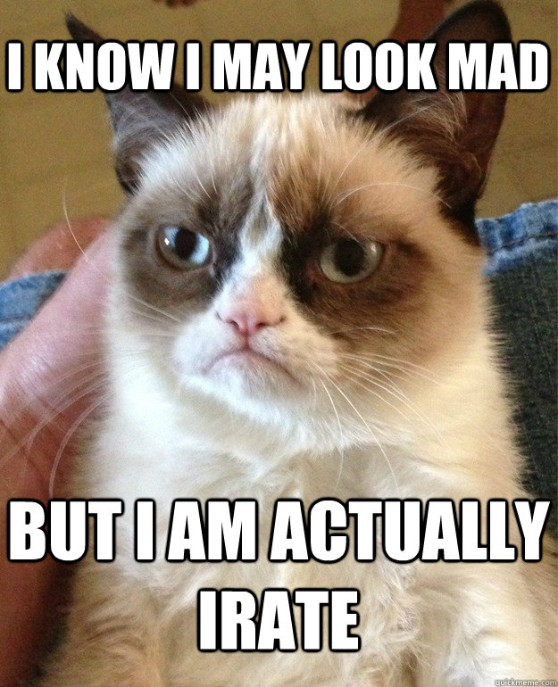 I know i may look mad but i am actually irate  Grumpy Cat