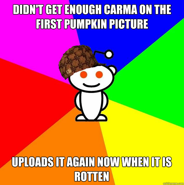 DIDN'T GET ENOUGH CARMA On the FIRST PUMPKIN PICTURE uPLOADS IT AGAIN NOW WHEN IT IS ROTTEN  Scumbag Redditor