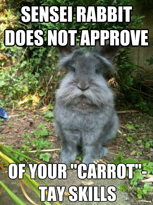 Sensei rabbit does not approve of your 