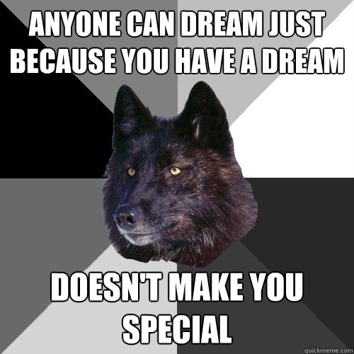 Anyone can dream just because you have a dream doesn't make you special  Sanity Wolf