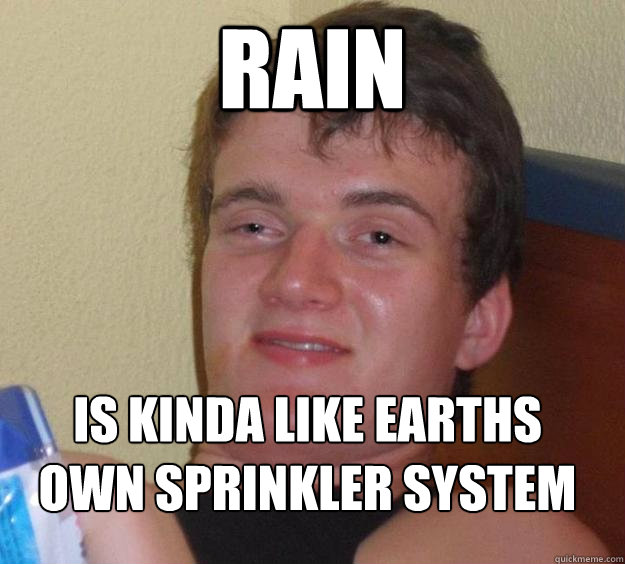 Rain Is kinda like earths own sprinkler system  10 Guy