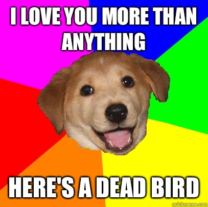 I love you more than anything Here's a dead bird  Advice Dog