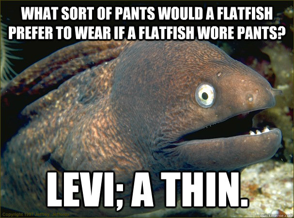 What sort of pants would a Flatfish prefer to wear if a flatfish wore pants? Levi; a thin. - What sort of pants would a Flatfish prefer to wear if a flatfish wore pants? Levi; a thin.  Bad Joke Eel