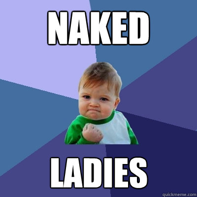 naked ladies  Success Kid