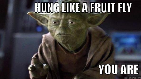               HUNG LIKE A FRUIT FLY                                                YOU ARE True dat, Yoda.