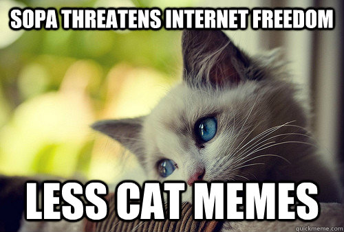 SOPA Threatens Internet Freedom Less Cat Memes  First World Problems Cat