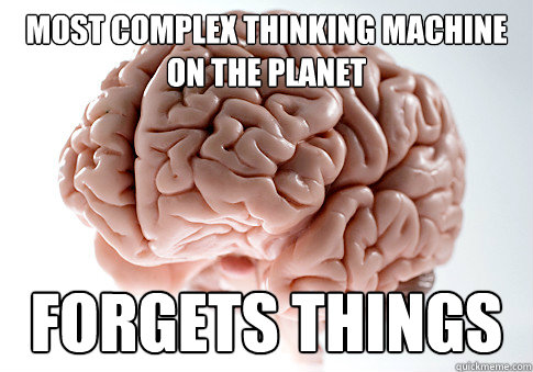 Most complex thinking machine on the planet forgets things  Scumbag Brain