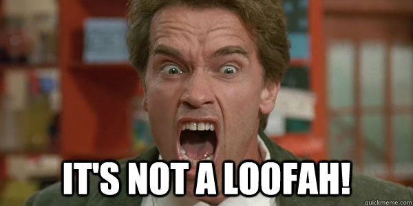  It's not a loofah!  Arnold Schwarzenegger Its Not A Tumor