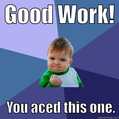 Thank you. -  GOOD WORK!     YOU ACED THIS ONE. Success Kid