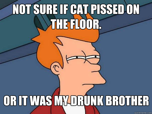 Not sure if cat pissed on the floor. Or it was my drunk brother  Futurama Fry