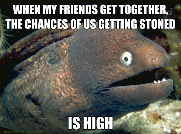 When my friends get together, the chances of us getting stoned Is HIGH  Bad Joke Eel