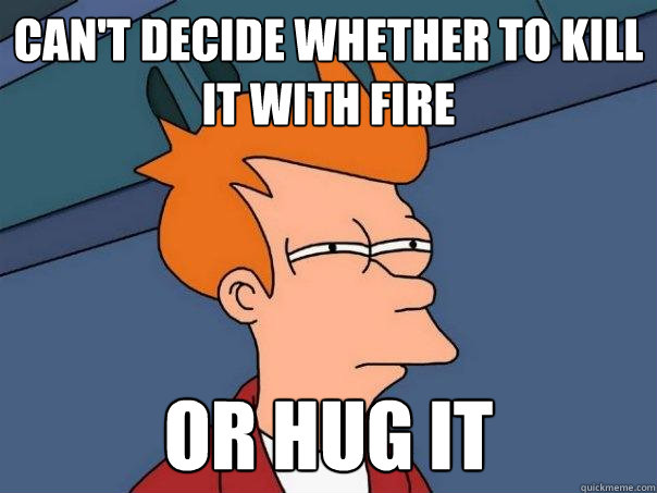 Can't decide whether to kill it with fire Or hug it  Futurama Fry