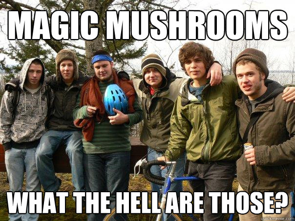 magic mushrooms what the hell are those? - magic mushrooms what the hell are those?  Fungi